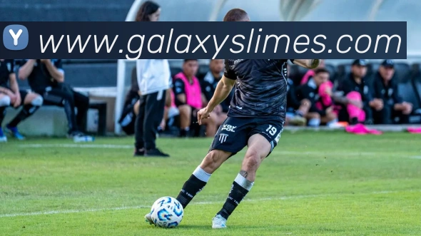 奖项证书